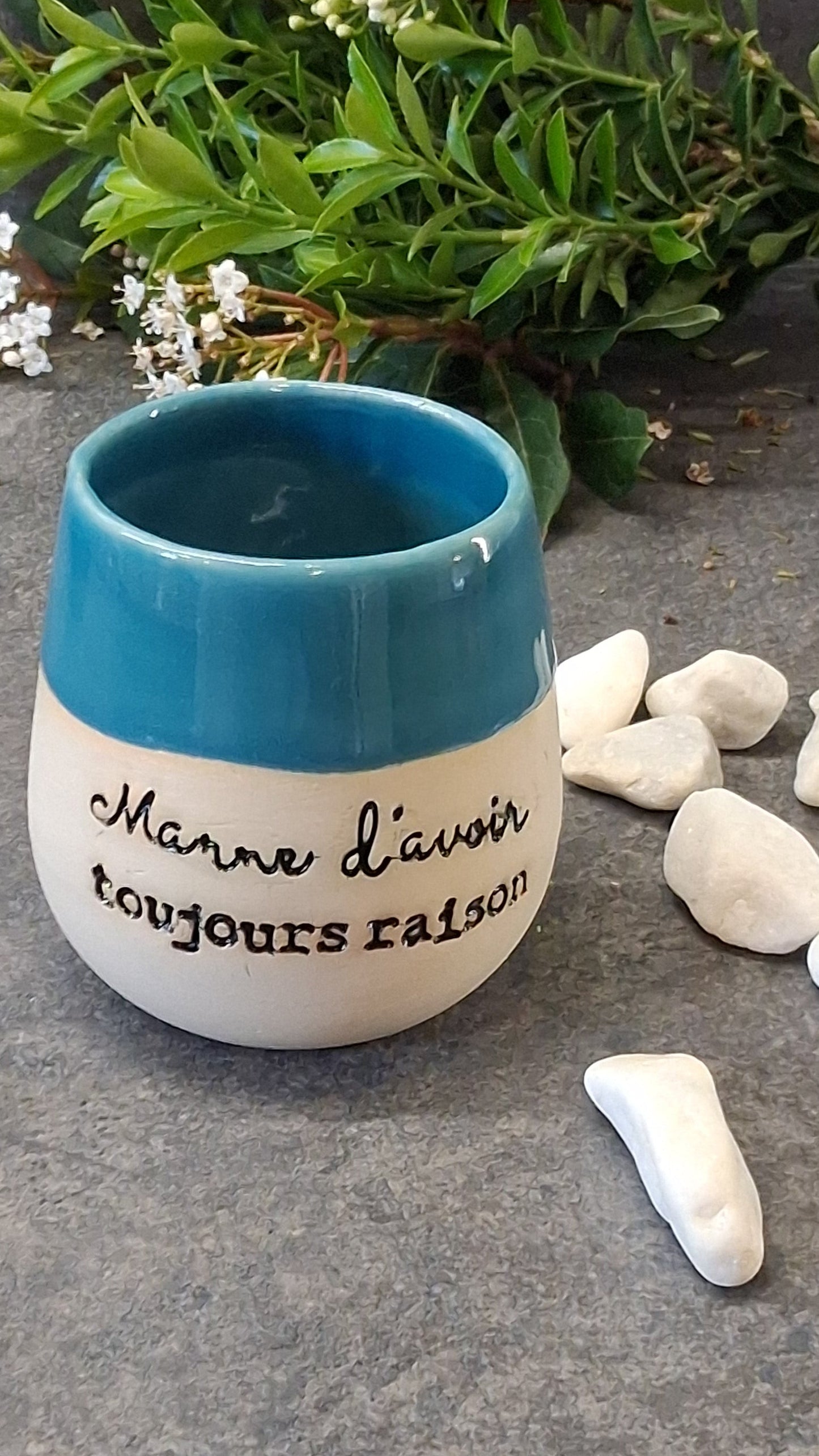 Marre d'avoir toujour raison