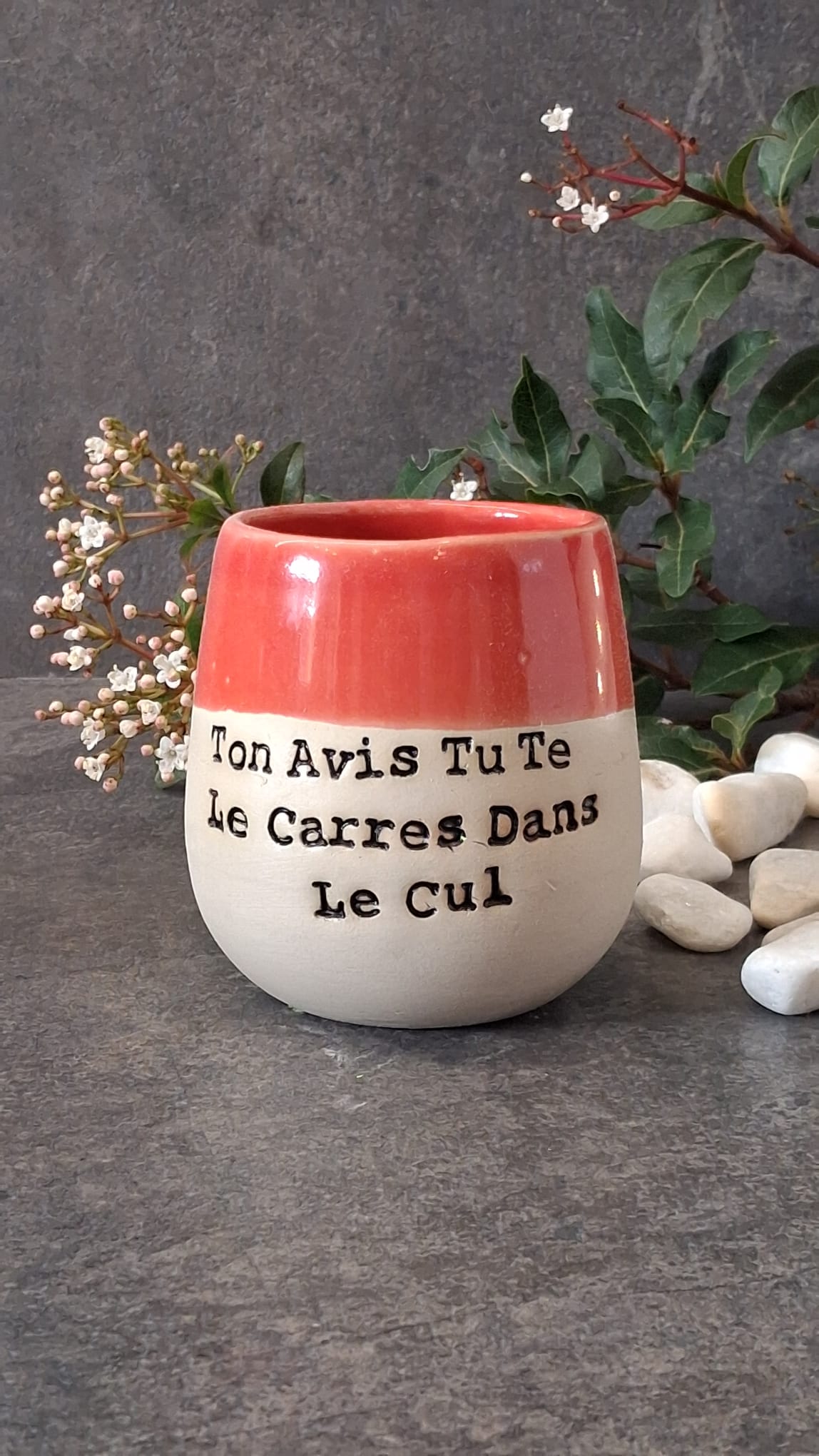 Ton avis tu te le....