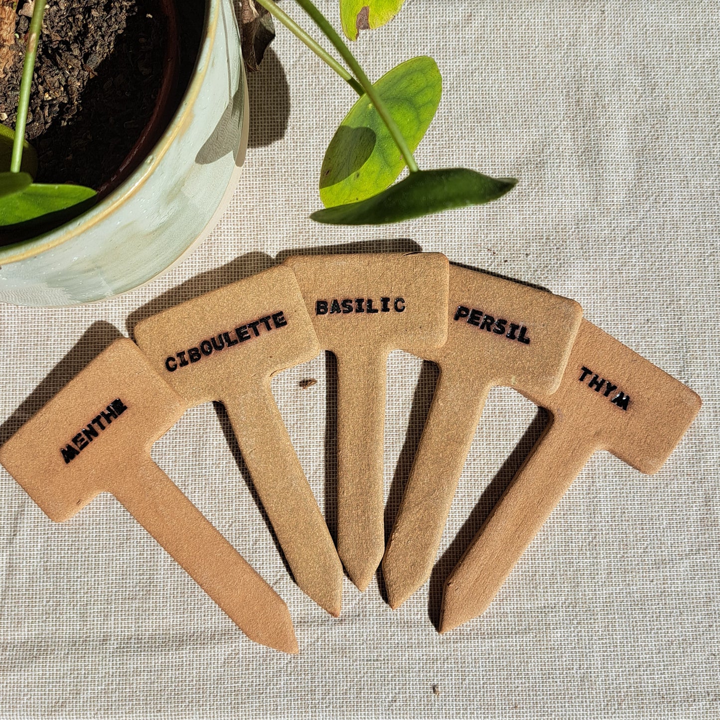 Etiquettes herbes aromatiques