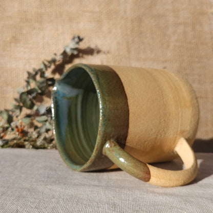 Carafe Verte et bleue