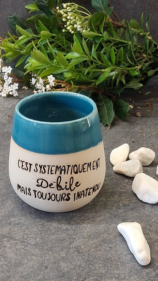 C'est systématiquement débile mais...