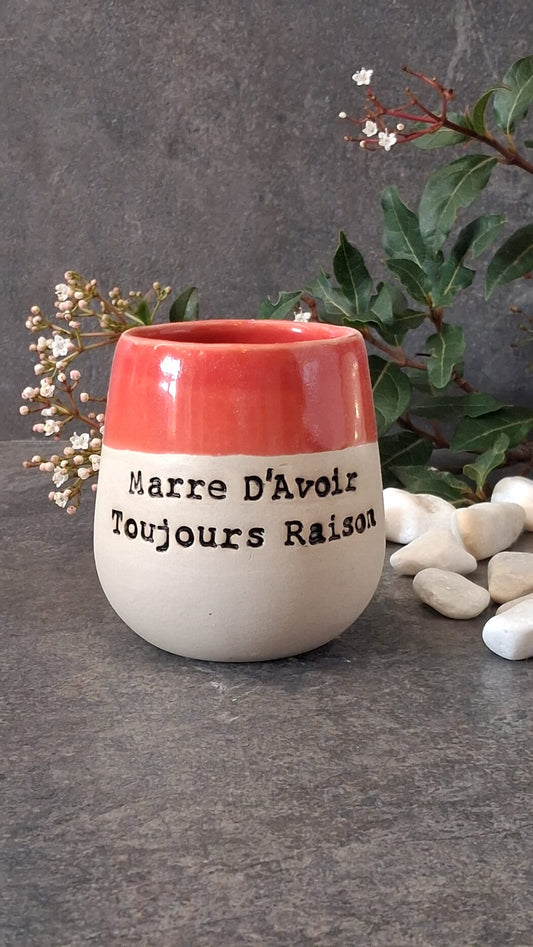 Marre d'avoir toujpours raison